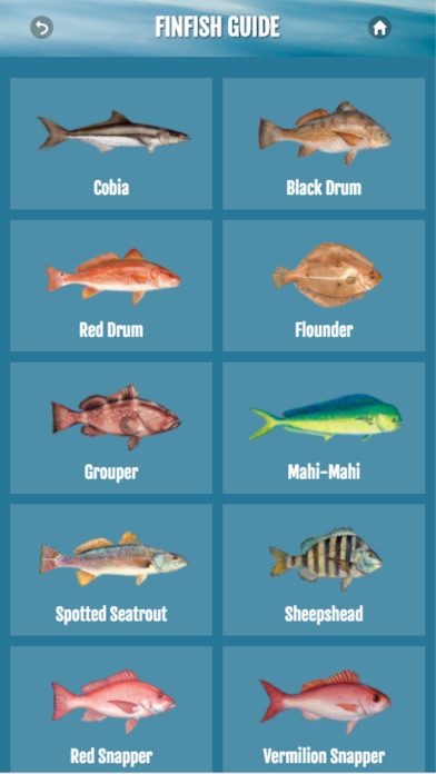 Audubon Gulf Seafood Guide v2 screenshot 2