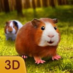 Guinea Pig In Forest