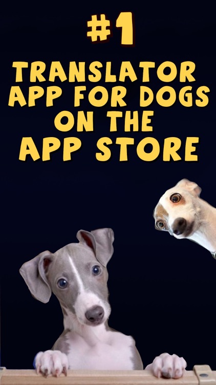 Human-to-Dog Translator screenshot-0