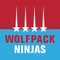 Join the American Ninja Warrior's famous Wolfpack Ninjas as they train you to be your best and reach for your dreams