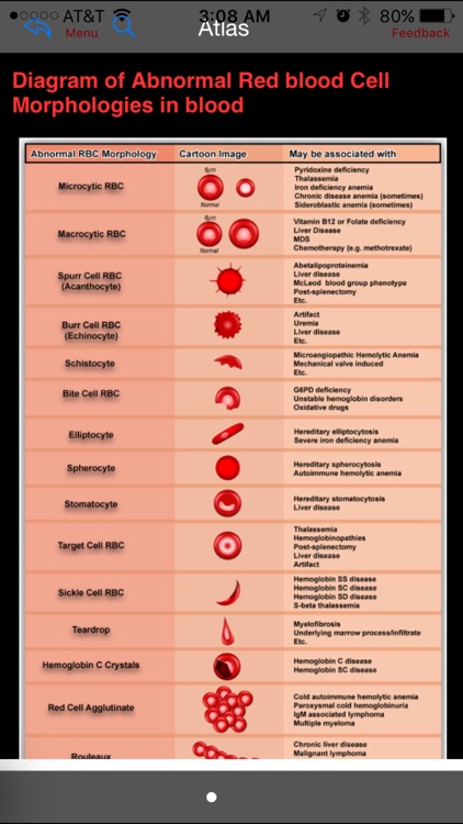 Hematology Outlines Atlas