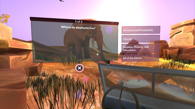 PI VR Animals