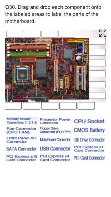 Braindumps 350-901 Pdf