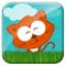 Funny Animals game
