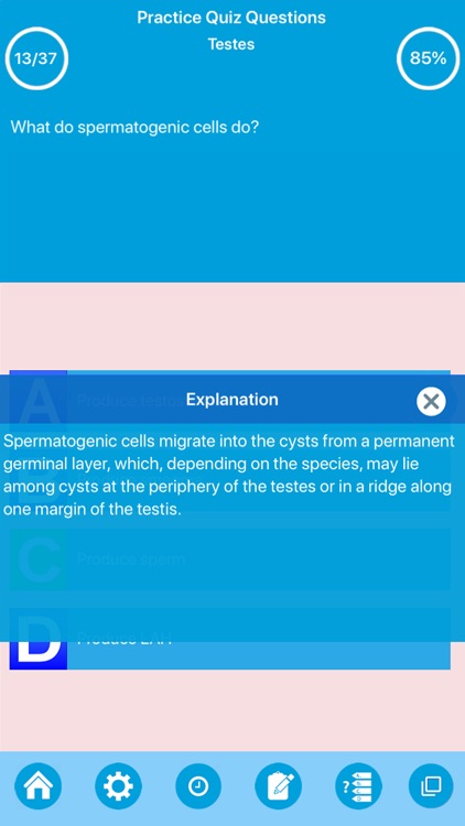 Male Reproductive System screenshot-3