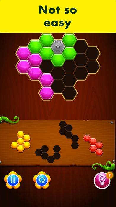 HoneyComb Puzzle - game screenshot 2
