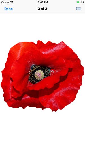 Red Poppy Stickers(圖4)-速報App