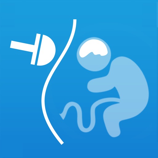 Fetal Brain Tutor 4us