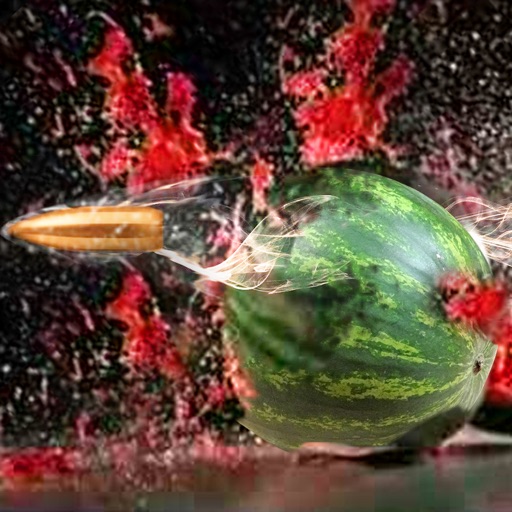 Watermelon Shooting Adventure icon