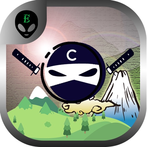 Ninja Zig Zag - Down The Mountain icon