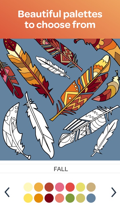 Colorfull - Calm Coloring Book
