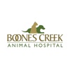 Boones Creek Animal Hospital