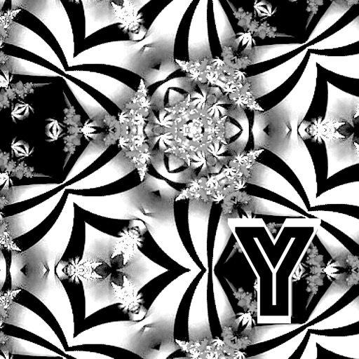 Ornament in Black&White Colors Icon