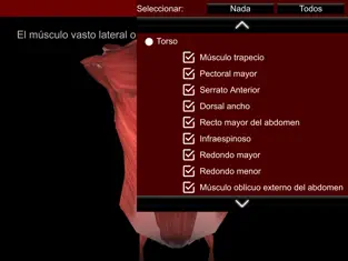 Screenshot 5 Sistema Muscular 3D (Anatomía) iphone