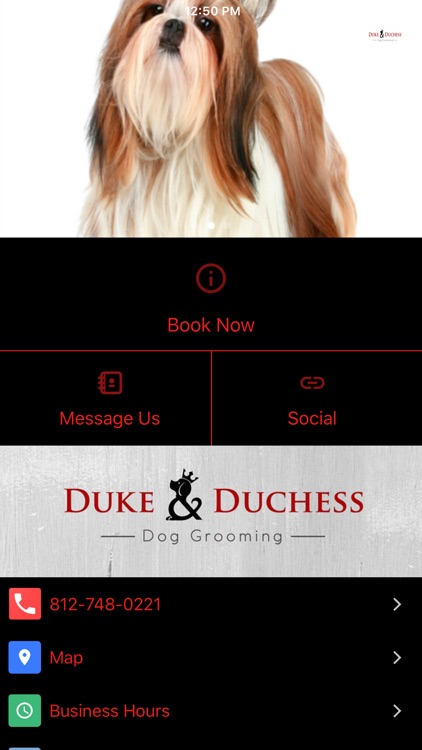 Duke And Duchess Dog Grooming