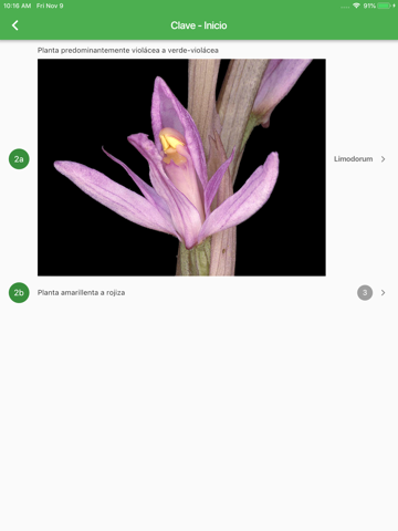 Orquídeas Ibéricas screenshot 3