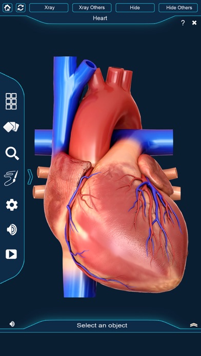My Heart Anatomy screenshot 2
