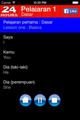 Dalam 24 Jam Belajar Bahasa screenshot 4