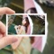 PIP Camera app allows you to make your photo in glass, hand, camera, board and more