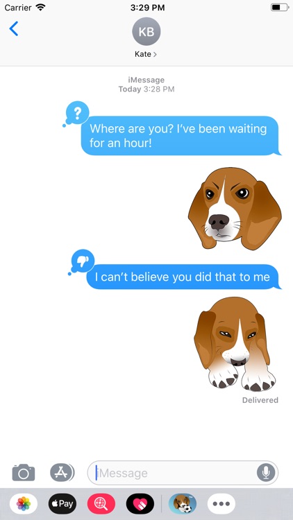 Beagle Bruno