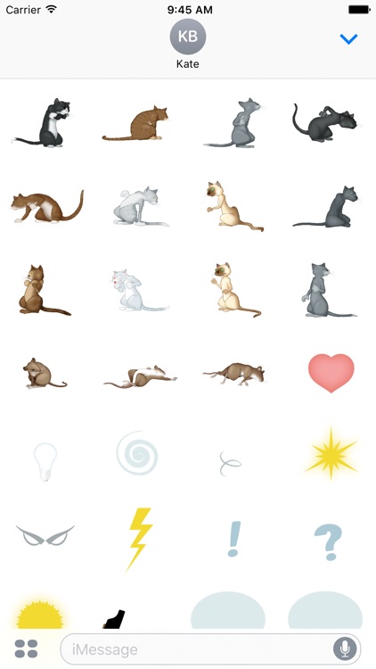 And Cats