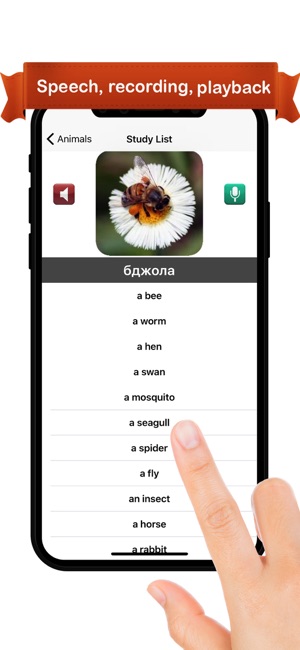 Learn Ukrainian(圖2)-速報App