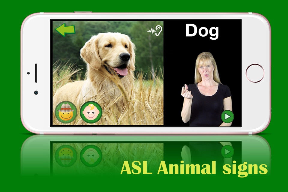 ASL Animals - Lite screenshot 4