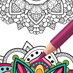 Recolor Therapy Adult Coloring