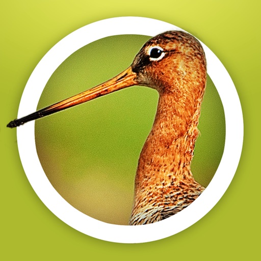 Vogels in Nederland - App voor iPhone, iPad en iPod touch ...