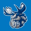 Manitoba Moose