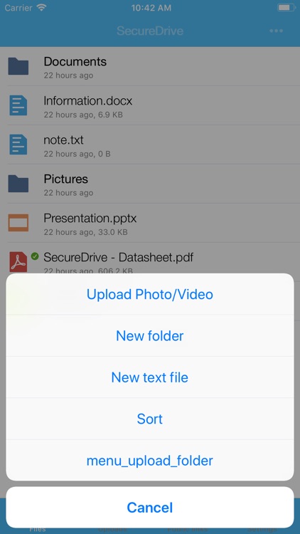SecureDrive Mobile screenshot-3