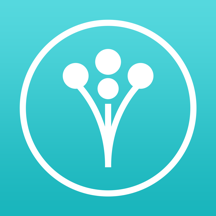 Wedding Planner by WeddingWire