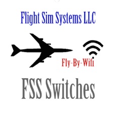 Activities of FSS Switches