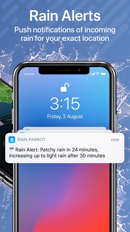 Rain Parrot