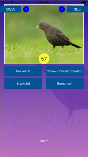 Bird Quiz - Name the Bird!(圖6)-速報App