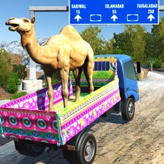 Activities of Eid Animals Transport Truck