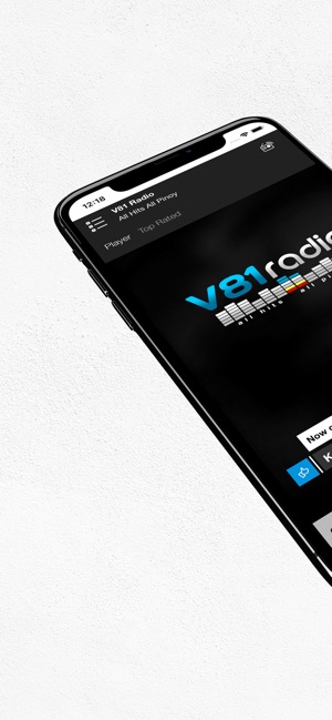 V81 Radio