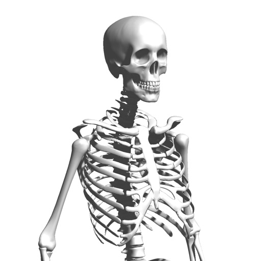 Skeleton Party