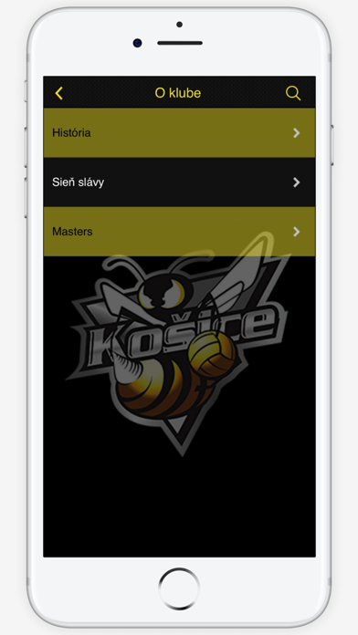 ŠK Hornets screenshot 3