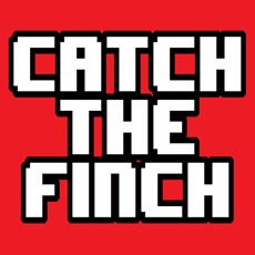 Activities of Catch the Finch
