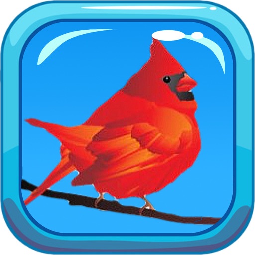 Bird Noises iOS App
