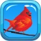 Bird Noises is the perfect app for bird lovers and watchers alike