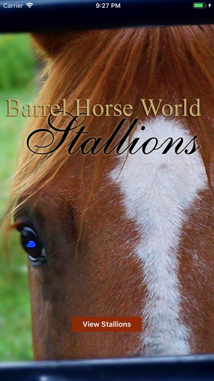 Barrel Horse World Stallions