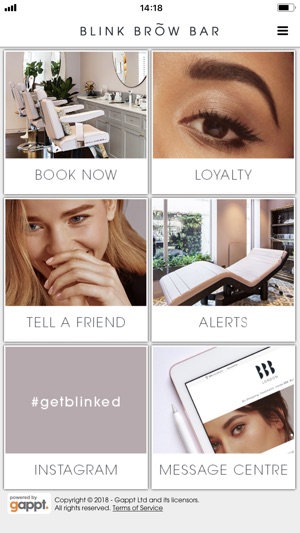 BLINK BROW BAR(圖2)-速報App