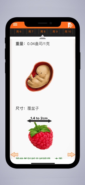 怀孕 导师 Pro(圖4)-速報App