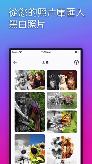 Colorize - 為黑白照片上色, 人工智慧照片(圖3)-速報App