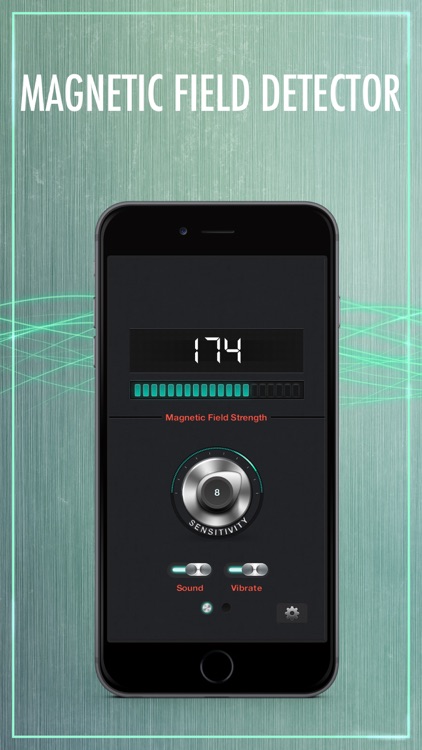 Magnetic Detector LITE