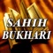 In short this is an english translation of Sahih Bukhari Chapter:Virtues of Quran