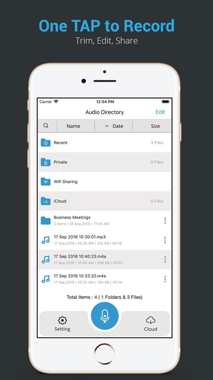 Recorder Pro : Voice Memo