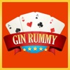 Gin Rummy Pro™ - iPadアプリ